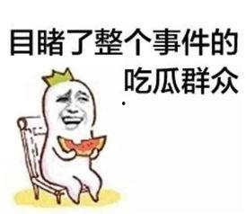 娱乐吃瓜酱骂人视频下载,网络暴力与言论自由的边界